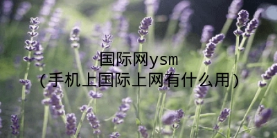 国际网ysm(手机上国际上网有什么用)