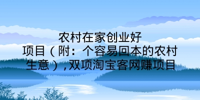 农村在家创业好项目（附：个容易回本的农村生意）,双项淘宝客网赚项目