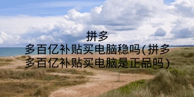 拼多多百亿补贴买电脑稳吗(拼多多百亿补贴买电脑是正品吗)