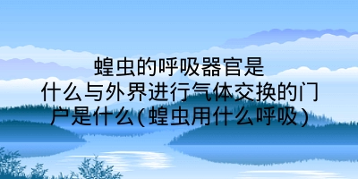 蝗虫的呼吸器官是什么与外界进行气体交换的门户是什么(蝗虫用什么呼吸)