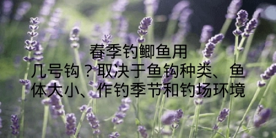 春季钓鲫鱼用几号钩？取决于鱼钩种类、鱼体大小、作钓季节和钓场环境