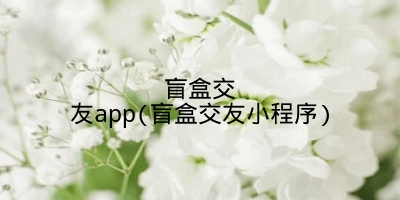 盲盒交友app(盲盒交友小程序)