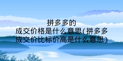 拼多多的成交价格是什么意思(拼多多成交价比标价高是什么意思)