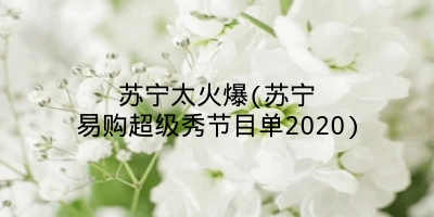 苏宁太火爆(苏宁易购超级秀节目单2020)