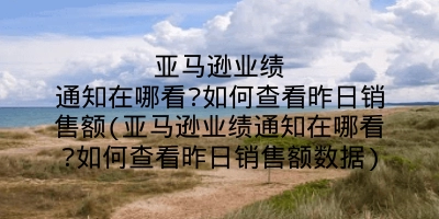 亚马逊业绩通知在哪看?如何查看昨日销售额(亚马逊业绩通知在哪看?如何查看昨日销售额数据)