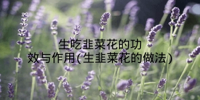 生吃韭菜花的功效与作用(生韭菜花的做法)