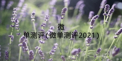 微单测评(微单测评2021)