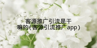 客源推广引流是干嘛的(客源引流推广app)