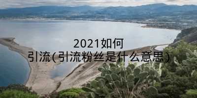 2021如何引流(引流粉丝是什么意思)