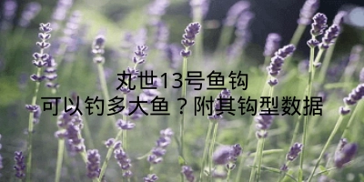 丸世13号鱼钩可以钓多大鱼？附其钩型数据