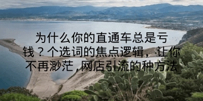 为什么你的直通车总是亏钱？个选词的焦点逻辑，让你不再渺茫,网店引流的种方法