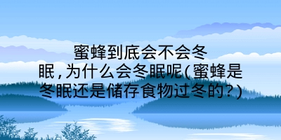 蜜蜂到底会不会冬眠,为什么会冬眠呢(蜜蜂是冬眠还是储存食物过冬的?)