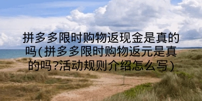 拼多多限时购物返现金是真的吗(拼多多限时购物返元是真的吗?活动规则介绍怎么写)