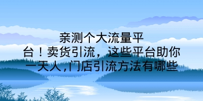 亲测个大流量平台！卖货引流，这些平台助你一天人,门店引流方法有哪些