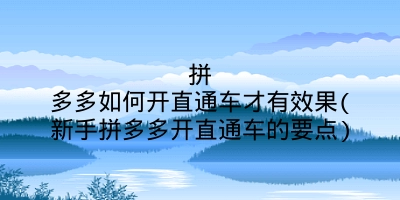 拼多多如何开直通车才有效果(新手拼多多开直通车的要点)