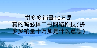 拼多多销量10万是真的吗必择二哥网络科技(拼多多销量十万加是什么意思)