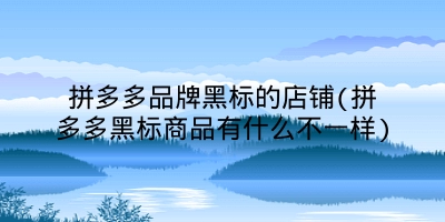 拼多多品牌黑标的店铺(拼多多黑标商品有什么不一样)