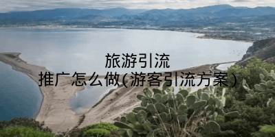 旅游引流推广怎么做(游客引流方案)