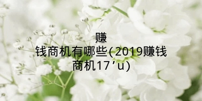 赚钱商机有哪些(2019赚钱商机17’u)