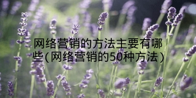 网络营销的方法主要有哪些(网络营销的50种方法)