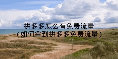 拼多多怎么有免费流量(如何拿到拼多多免费流量)