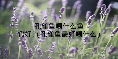 孔雀鱼喂什么鱼食好?(孔雀鱼最好喂什么)