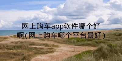 网上购车app软件哪个好啊(网上购车哪个平台最好)