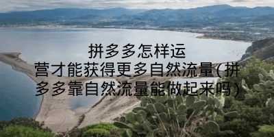 拼多多怎样运营才能获得更多自然流量(拼多多靠自然流量能做起来吗)