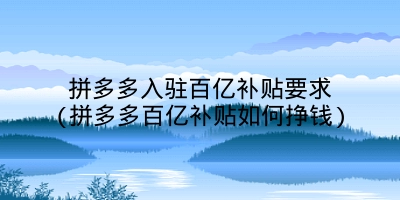 拼多多入驻百亿补贴要求(拼多多百亿补贴如何挣钱)