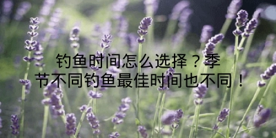 钓鱼时间怎么选择？季节不同钓鱼最佳时间也不同！