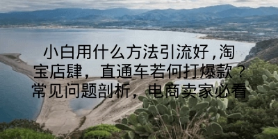 小白用什么方法引流好,淘宝店肆，直通车若何打爆款？常见问题剖析，电商卖家必看