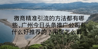 微商精准引流的方法都有哪些,广州今日头条推广公司有什么好推荐的？用度怎么算？