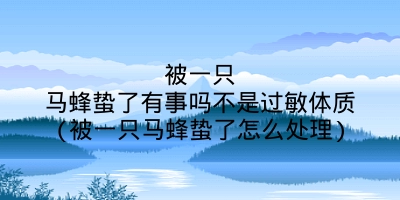 被一只马蜂蛰了有事吗不是过敏体质(被一只马蜂蛰了怎么处理)