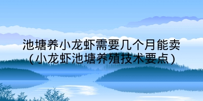 池塘养小龙虾需要几个月能卖(小龙虾池塘养殖技术要点)