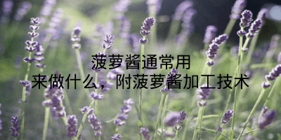 菠萝酱通常用来做什么，附菠萝酱加工技术