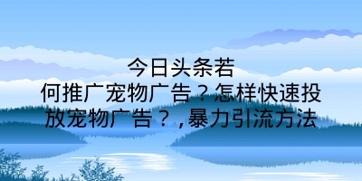 今日头条若何推广宠物广告？怎样快速投放宠物广告？,暴力引流方法