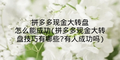 拼多多现金大转盘怎么能成功(拼多多现金大转盘技巧有哪些?有人成功吗)