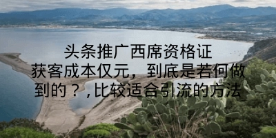 头条推广西席资格证获客成本仅元，到底是若何做到的？,比较适合引流的方法