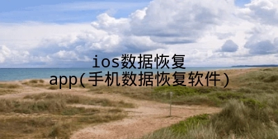 ios数据恢复app(手机数据恢复软件)