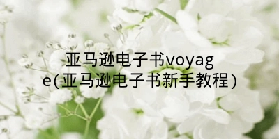 亚马逊电子书voyage(亚马逊电子书新手教程)