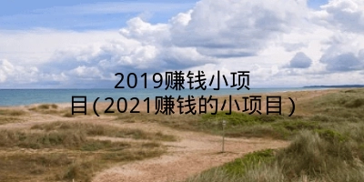 2019赚钱小项目(2021赚钱的小项目)