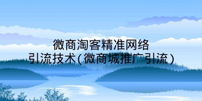 微商淘客精准网络引流技术(微商城推广引流)