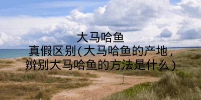 大马哈鱼真假区别(大马哈鱼的产地,辨别大马哈鱼的方法是什么)