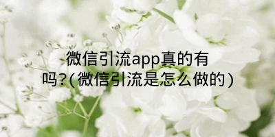 微信引流app真的有吗?(微信引流是怎么做的)