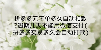 拼多多元下单多久自动扣款?逾期几天不能用微信支付(拼多多交易多久会自动打款)