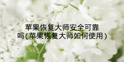 苹果恢复大师安全可靠吗(苹果恢复大师如何使用)