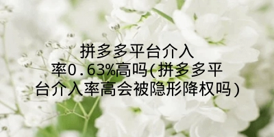 拼多多平台介入率0.63%高吗(拼多多平台介入率高会被隐形降权吗)