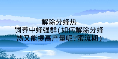 解除分蜂热饲养中蜂强群(如何解除分蜂热又能提高产量呢?蜜流期)