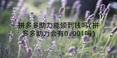 拼多多助力能领到钱吗(拼多多助力会有0.001吗)