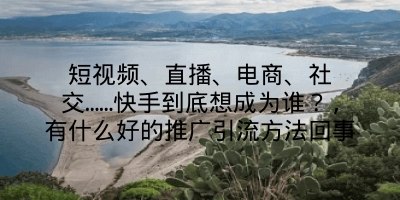 短视频、直播、电商、社交……快手到底想成为谁？,有什么好的推广引流方法回事